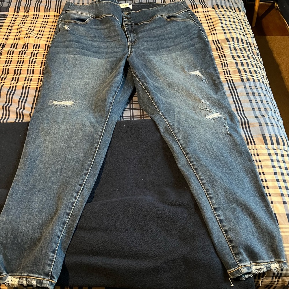 Lane Bryant high-rise Jeggings